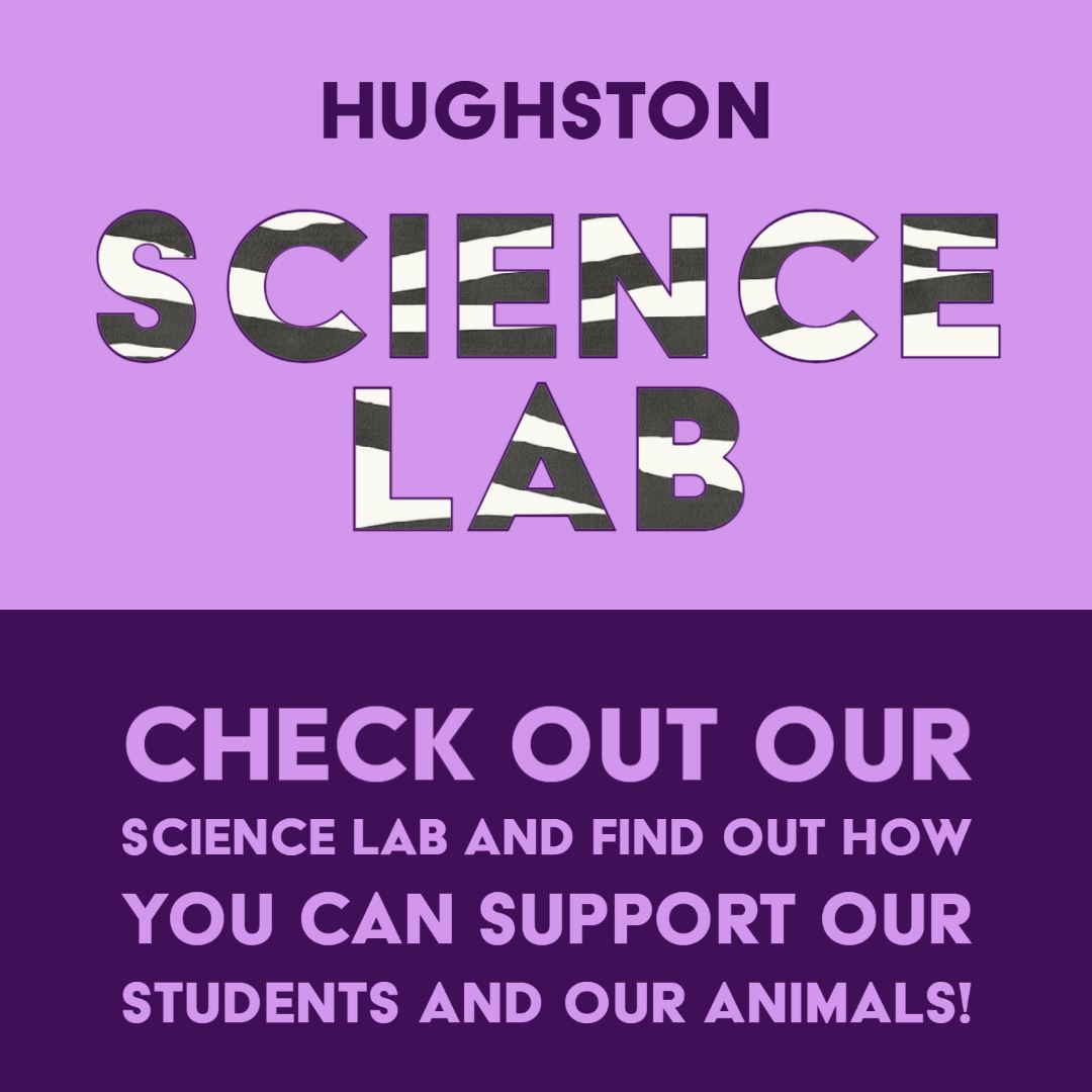  Science Lab